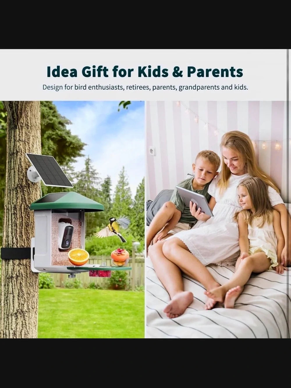 Haymor Green Solar Bird Feeder with Camera New In Box #M2859